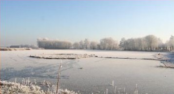 De vogelplas in de winter